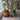 Double Number stacks